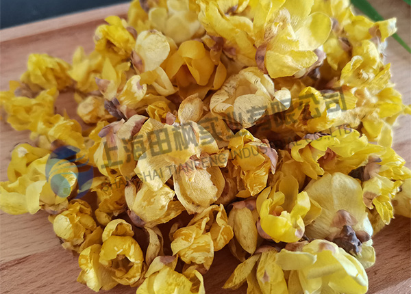 臘梅花凍干，鮮花冷凍干燥機