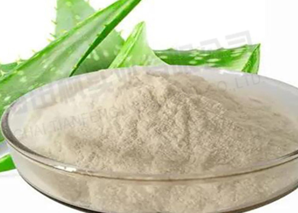 蘆薈凍干，凍干粉真空冷凍干燥機應(yīng)用于蘆薈凍干