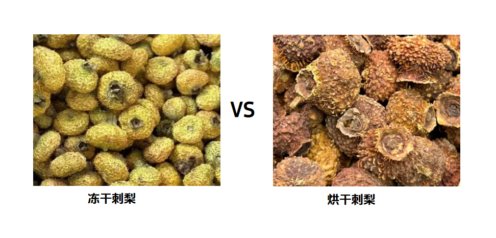 圖片 1.png